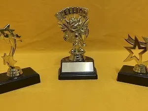 Award your Stars Award your Stars