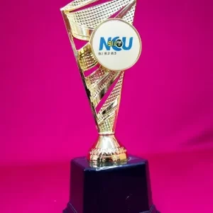 Flag Insert Trophy Flag Insert Trophy