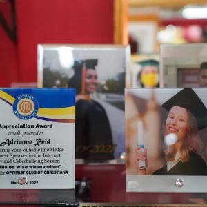 Glass Panel to fit every Budget