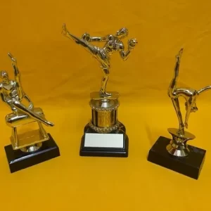 Gymnastics Karate Gymnastics Karate