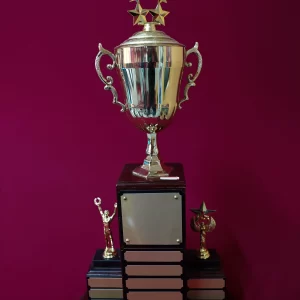 Large Perpetual Trophy Large Perpetual Trophy