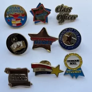 School Lapel Pin School Lapel Pin
