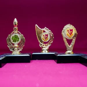 Small Insert Trophies Small Insert Trophies