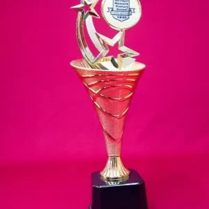 Tripple spin star on Cone Riser Tripple spin star on Cone Riser