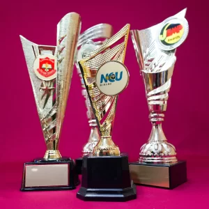 When they have Excelled beyond Large Insert Trophies When they have Excelled beyond Large Insert Trophies